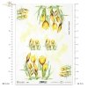 krokus, żółty kwiat, ogród, łąka, wiosna, R898, crocus, yellow flower, garden, meadow, spring, Krokus, gelbe Blume, Garten, Wiese, Frühling, azafrán, flor amarilla, jardín, prado, primavera